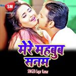 Mere Mahbob Sanam (Hindi Romantic Song) - Dilbar Song Download